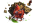 icon-da-ga